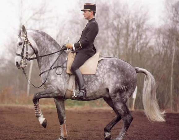 Phillip Karl, the founder of the Ecole de Légèreté one of the modern schools for learning Classical Dressage.