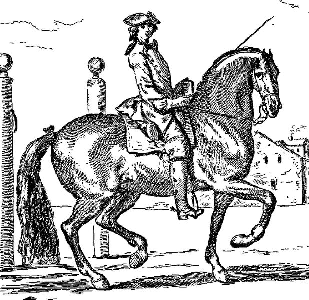 An illustration of François de la Guérinière, considered the founding father of Classical Dressage