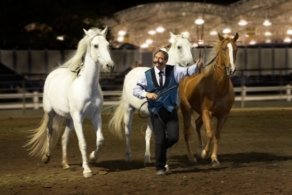 My personal mentor, David Lichamn. The Master of Liberty Horsemanship, he has taught me so much